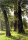 dm9-test100500