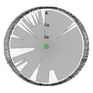 Василиса Воскресенская (Vasilisa707): Соответствие профессии «3-ий шаг освоения. Руководитель консультационных проектов (специалист, работа по найму).»